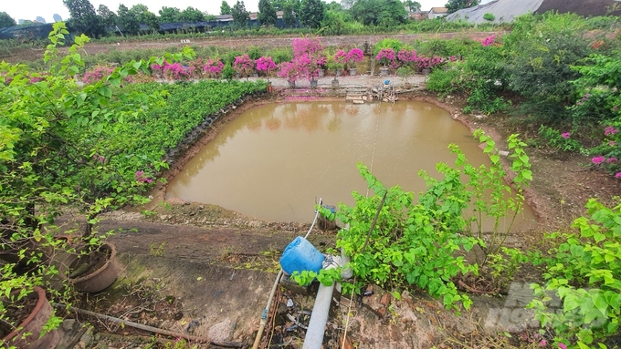 Một ô ao toen hoẻn được ông Đỗ Thanh Tùng giữ lại để làm nguồn nước tưới những bầu cây hoa giống...