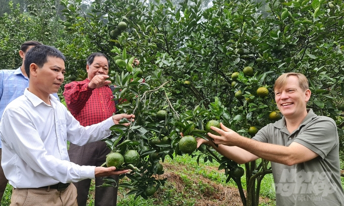 Developing organic agriculture is an important premise for increasing plant health. Photo: Dao Thanh.