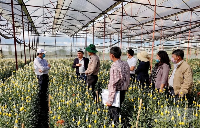 At present, three regions within Lam Dong province have issued plans for managing greenhouses and promoting high-tech, climate-resilient agricultural production by 2030. Photo: PC.