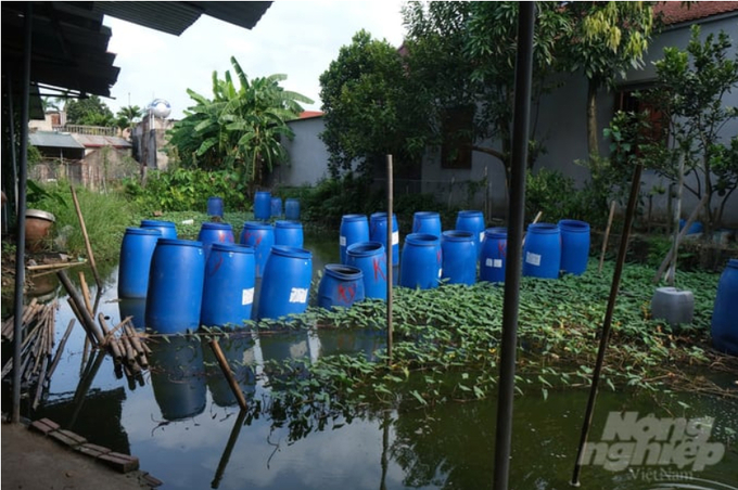 The area where bamboo is soaked before processing.