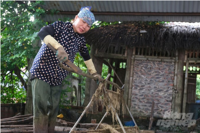 A step in peeling the outer layer of raw bamboo.