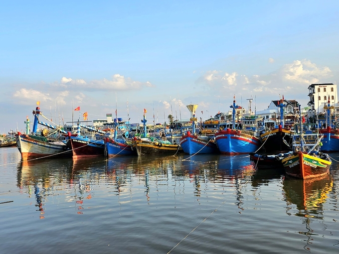 Tỉnh Bình Thuận đang nỗ lực đăng ký cho tàu cá '3 không'. Ảnh: KS.