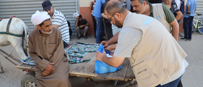 FAO delivers first set of veterinary kits to 2 452 households in Gaza to support livestock health and combat acute food insecurity. Photo: FAO/Yousef Alrozzi.