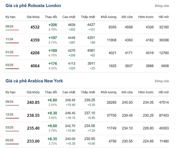 Latest Arabica and Robusta prices on 08/13/2024