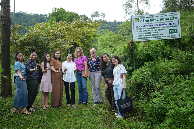 Schmidt and Wilson were astounded by the efficacy of the medicinal plants that were extensively cultivated within the local community during their visit to the Soc Son Medicinal Plant Conservation and Development Cooperative. Deputy Director Nguyen Thanh Tuyen was particularly proud of the burdock plant, which was one of the medicinal botanicals. This plant, which is indigenous to temperate regions, frequently flourishes in disturbed soils.