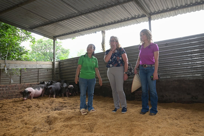 Thoan observed that her farm has been certified as organic. The cooperative is unable to satisfy consumer demand, even though it sells over 10,000 chickens annually, excluding those from associated models. The plantation generates an average annual revenue of more than 1.5 billion VND.