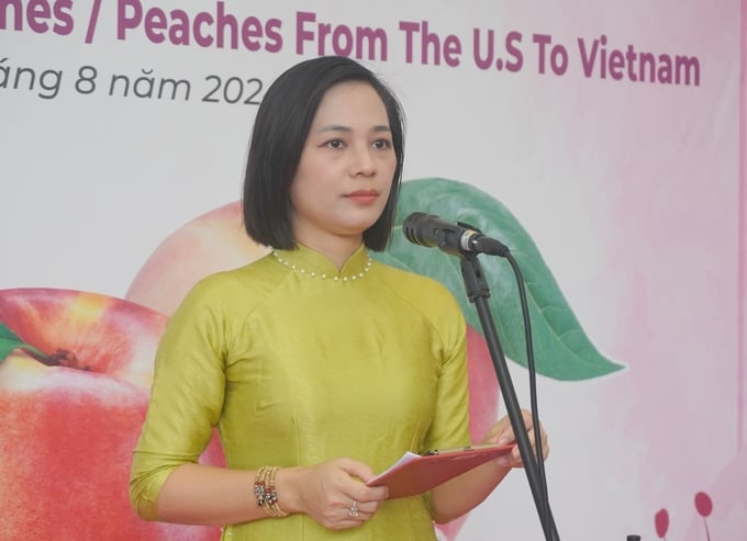 Nguyen Huyen Trang, Assistant General Director of Klever Fruit, stated that California’s unique climate and favorable soil conditions, combined with its hot, dry summers, produce peaches and nectarines with a distinctive sweetness and flavor found only in this region. Photo: Hong Tham.