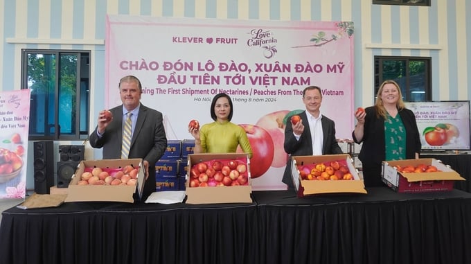 Representatives from the U.S. Embassy in Vietnam, APHIS, the California Fresh Fruit Association, and Klever Fruit opening the first shipment of U.S. peach and nectarine in Vietnam. Photo: Hong Tham.