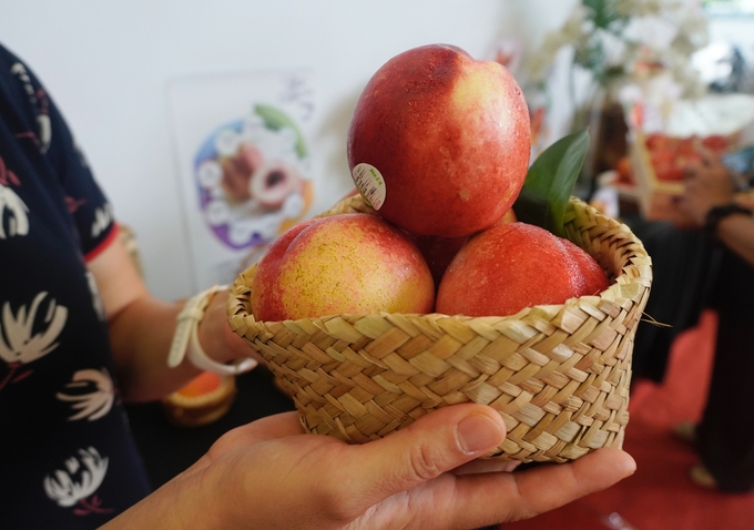 Mang lô đào, xuân đào Mỹ đầu tiên tới Việt Nam là niềm tự hào của Klever Fruit.