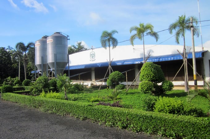 Using Silo bins to store animal feed at C.P. Vietnam's farms helps reduce the use of plastic packaging.