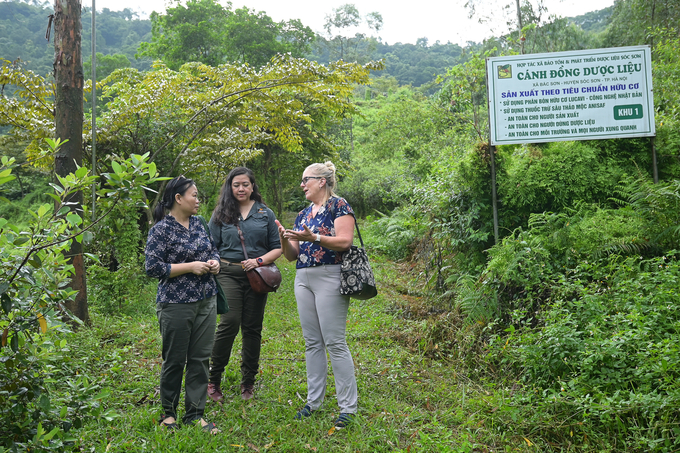 Visiting the Soc Son Medicinal Plant Conservation and Development Cooperative, guests were amazed by the effects of medicinal plants widely grown in the community. Photo: Tung Dinh.