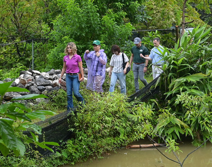 Guests visit the medicinal herb garden at the Soc Son Medicinal Herb Conservation and Development Cooperative. Photo: Tung Dinh.