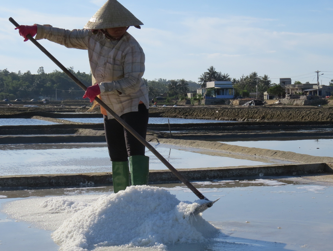 Việc tìm kênh tiêu thụ ổn định cho muối Sa Huỳnh đến nay vẫn là bài toán chưa có lời giải. Ảnh: Võ Thanh Kỳ.