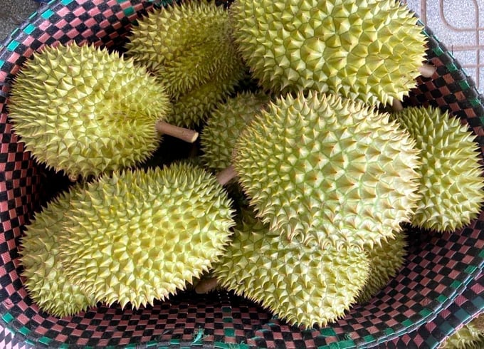 Durian prices in China are falling due to increased competition. Photo: Thanh Son.