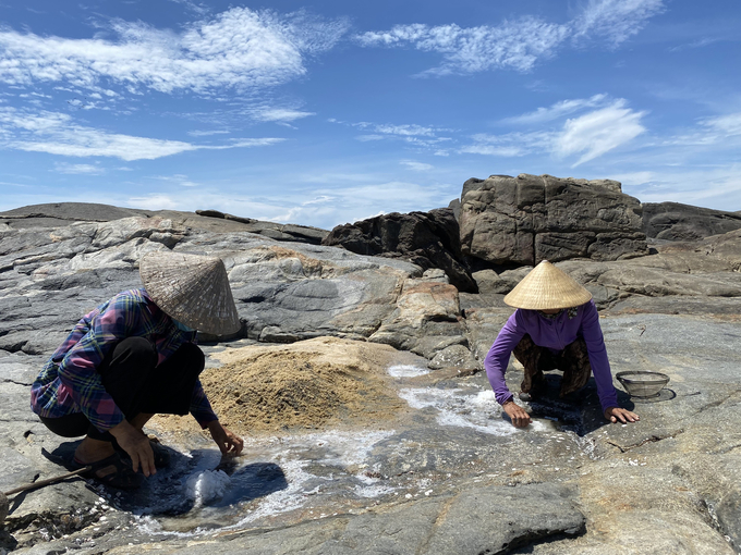 Salt workers pickle salt on rocks. Photo: Vo Thanh Ky.