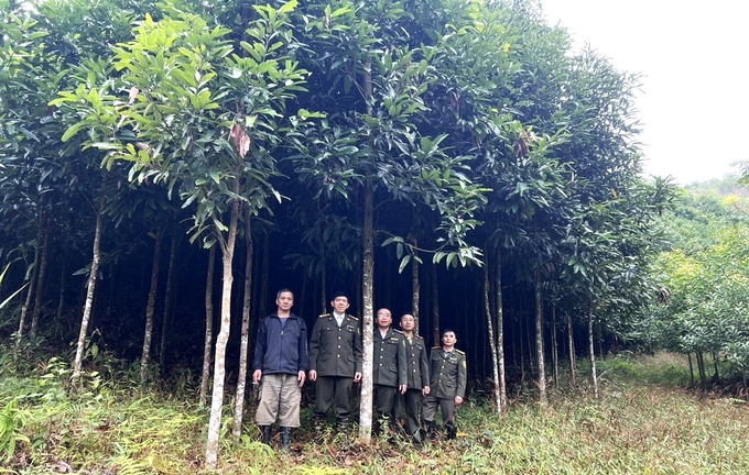 Theo ông Trần Minh Hà (thứ hai từ trái sang), việc ứng dụng khoa học công nghệ vào công tác quản lý, bảo vệ và phát triển rừng đã mang lại những hiệu quả thiết thực. Ảnh: Phạm Hiếu.