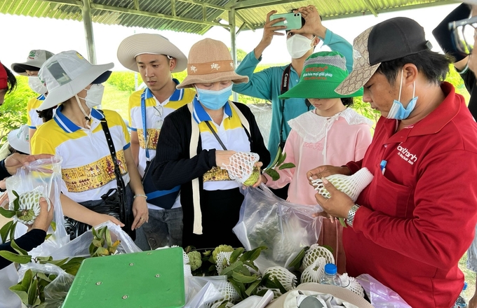 Việc giống mãng cầu ta bản địa của tỉnh Tây Ninh (bông xoắn, bông thẳng) được lưu hành đặc cách, được đánh giá đây là bước tiến mới trong phát triển giống mãng cầu ta Tây Ninh.