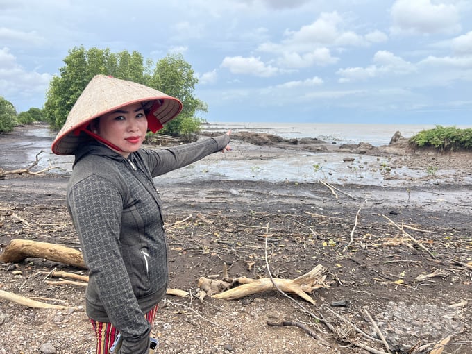 Coastal erosion in Tam Giang Tay Commune, Ngoc Hien District, Ca Mau Province. Photo: Trong Linh.