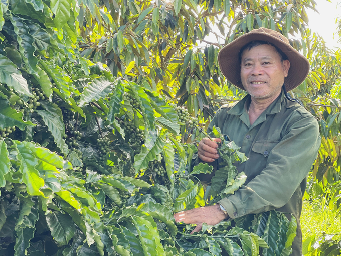 Farmers in Chu Pah district (Gia Lai) are increasingly aware of sustainable agroproduction. Photo: Dang Lam.