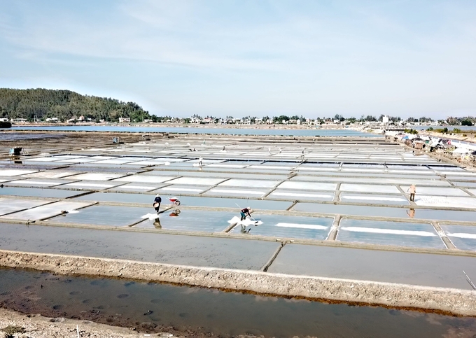 The salt industry in Sa Huynh has gone through many ups and downs. Photo: Vo Thanh Ky.