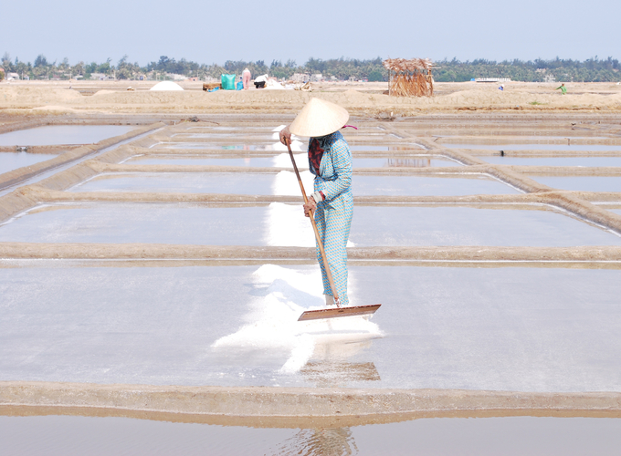 Despite their dedication to their profession, the lives of Sa Huynh salt workers are still very difficult. Photo: Vo Thanh Ky.