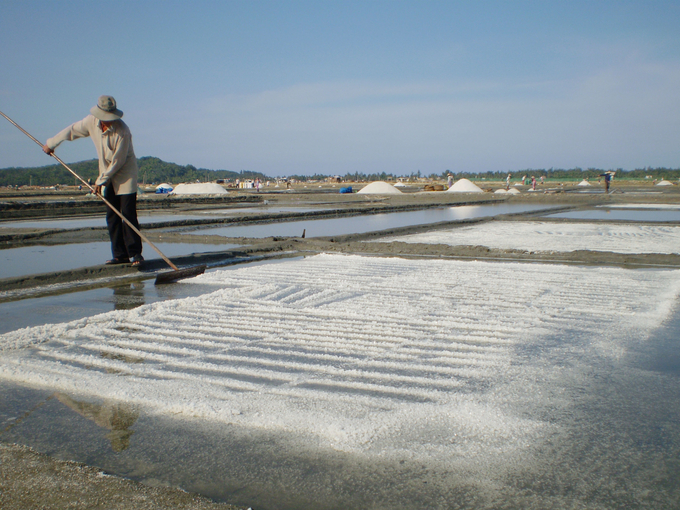 Salt plays an extremely important role in human life. But to make salt, Sa Huynh salt workers have to go through a moutain of hardships. Photo: Vo Thanh Ky.