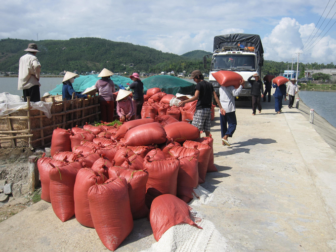 Diêm dân Sa Huỳnh chuyển muối lên xe tải đi tiêu thụ. Tới các điểm tiêu thụ, mối sẽ được bốc dỡ xuống để bán lẻ tận các thôn làng. Ảnh: Võ Thanh Kỳ.