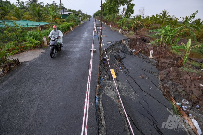 Ca Mau Province has exhibited increasingly complex erosion developments within the last few years. Photo: Trong Linh.