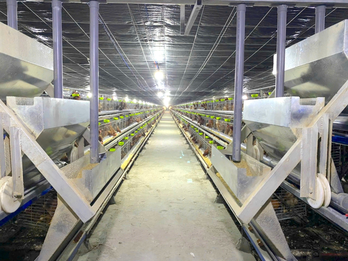 Closed cages with automatic feeding ensure biosecurity. Photo: Minh Dam.