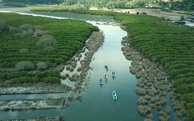 The carbon market is expected to help Vietnam earn tens of millions of dollars.