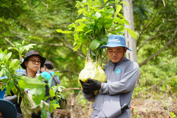 Công ty TNHH Olmix Asialand Việt Nam và khách hàng đã trồng 1.000 cây xanh với mong muốn góp phần tăng độ che phủ của rừng tại Khu bảo tồn Xuân Liên. Ảnh: Quốc Toản.