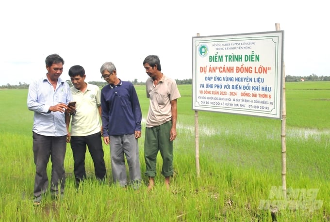 The smart insect monitoring system, funded by the Kien Giang Province's Agricultural Extension Center for cooperatives participating in the large-field project, has proven effective in protecting crops. Photo: Trung Chanh.