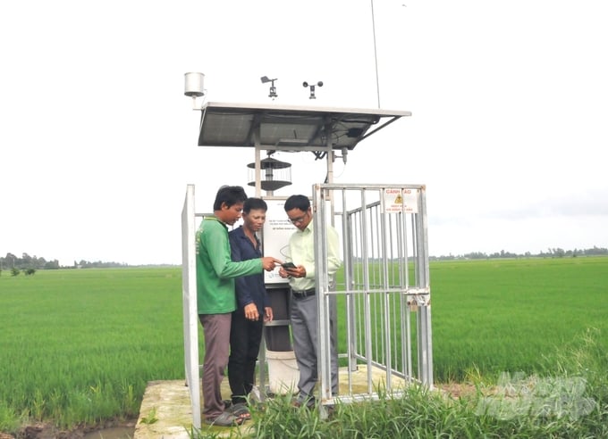 Agricultural extension officers and members of the Nha Sap Farmers Cooperative in Giang Thanh District, Kien Giang Province, monitoring updates from the advanced insect monitoring system on their smartphones. Photo: Trung Chanh.