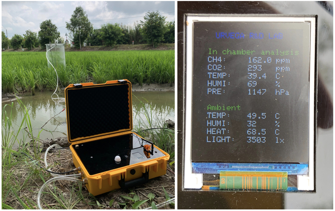 The process for cultivating high-quality, low-emission rice has been detailed in a manual issued by the Department of Crop Production (Ministry of Agriculture and Rural Development). Photo: Dr. Tran Minh Hai.