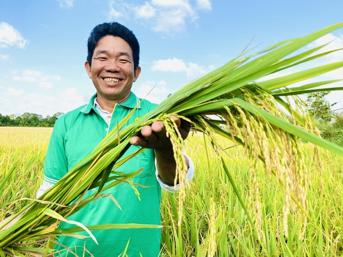 Hiện trên thế giới chưa có quốc gia nào thương mại được tín chỉ carbon lúa, và chưa quốc gia nào xác định được giá 1 tín chỉ carbon trồng lúa là bao nhiêu USD. Ảnh: Lê Hoàng Vũ.