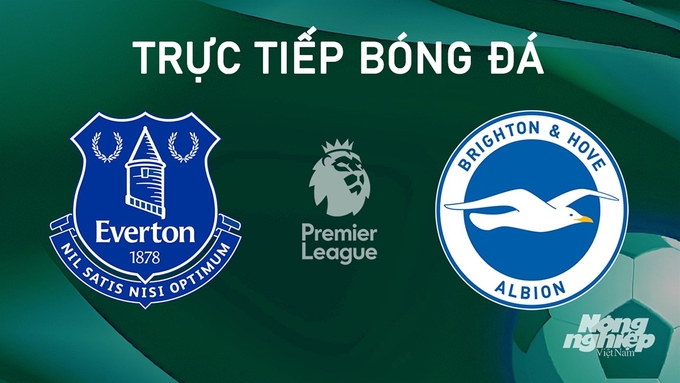 Trực tiếp bóng đá giữa Everton vs Brighton hôm nay 17/8/2024