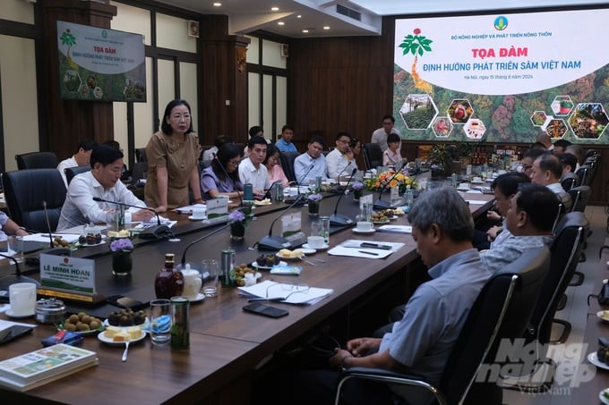 Seminar 'Development orientation of Vietnamese Ginseng' held on August 15. Photo: Kien Trung.