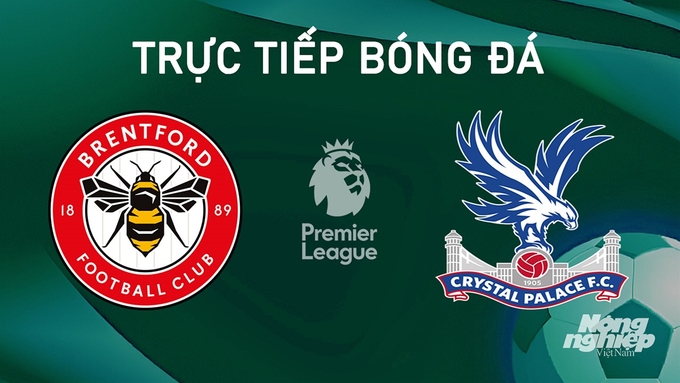 Trực tiếp bóng đá Ngoại hạng Anh giữa Brentford vs Crystal Palace hôm nay 18/8/2024