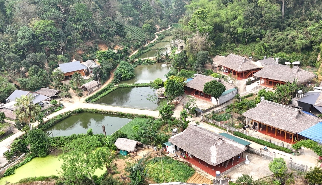 Làng Tân Lập, xã Tân Trào là nơi sinh sống của đồng bào dân tộc Tày. Tại làng Tân Lập, dưới gốc đa Tân Trào, ngày 16/8/1945, đồng chí Võ Nguyên Giáp đọc Bản Quân lệnh số I, hạ lệnh Tổng khởi nghĩa giành chính quyền trong cả nước, đưa cách mạng tháng Tám năm 1945 đi đến thắng lợi hoàn toàn.