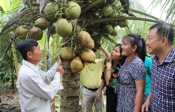 Một năm sau khi được Hoa Kỳ mở cửa thị trường, dừa tươi của Việt Nam đã được cấp phép sang Trung Quốc.