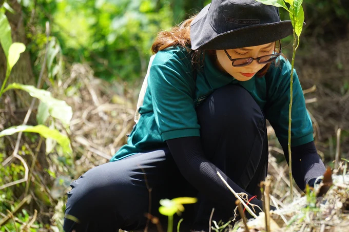 Employees of Olmix Asialand Vietnam Co., Ltd. participate in tree planting activities. Photo: Quoc Toan.