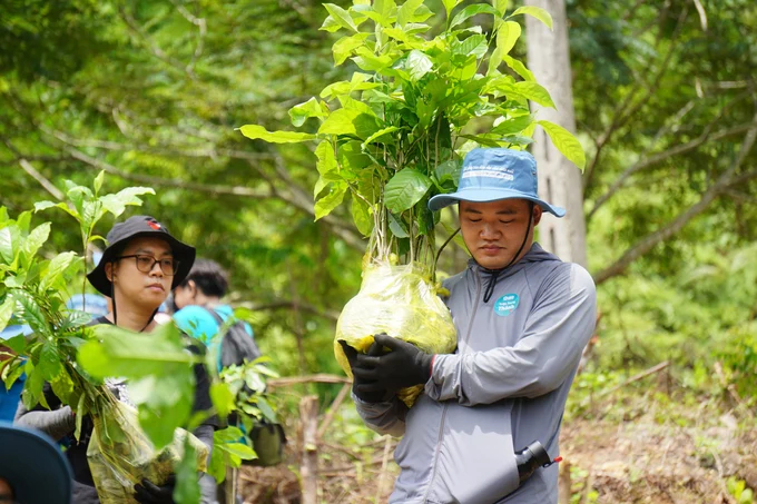 Olmix Asialand Vietnam Co., Ltd. and its customers planted 1,000 trees with the aim of increasing forest cover at Xuan Lien Nature Reserve. Photo: Quoc Toan.