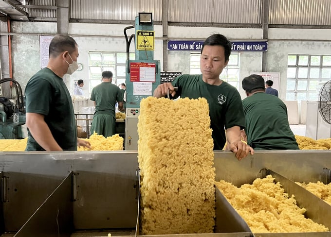 Rubber latex processing at Ea H'leo Rubber One Member Company Limited. Photo: Son Trang.