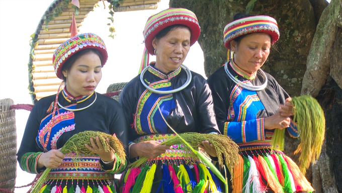 Gạo nếp Tài, một sản phẩm nông nghiệp hữu cơ tiêu biểu của tỉnh Bắc Kạn, được công nhận đạt chuẩn OCOP. Ảnh: Ngọc Tú. 