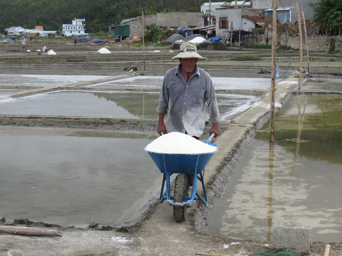 Sa Huynh salt workers harvest salt. Photo: Vo Thanh Ky.