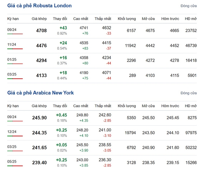 Giá Arabica và Robusta mới nhất ngày 20/8/2024
