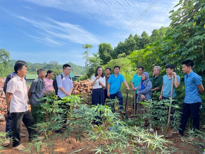 Giảng viên hướng dẫn kỹ thuật trồng, chăm sóc quế. Ảnh: Đoàn Thúy.