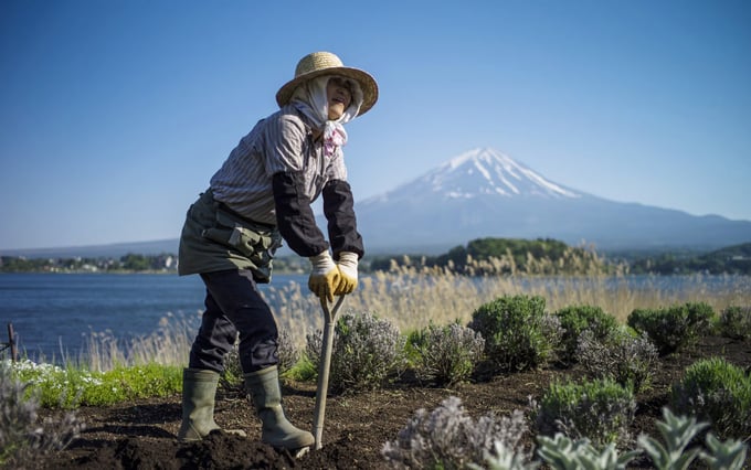 Japan is a country with strengths in training and educating agricultural extension staff. Illustration photo.