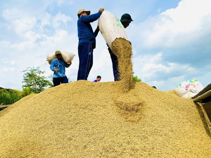 The crop production industry is still facing many challenges. Photo: Le Hoang Vu.