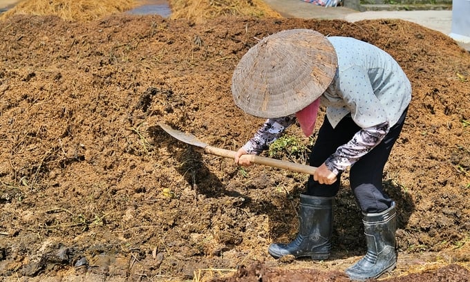 Local farmers assessing the quality of the mixed product. Photo: Bao Thang.